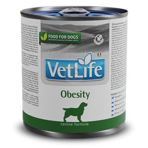 וט לייף שימור אובסיטי כלב 300 גרם - Vet life obesity