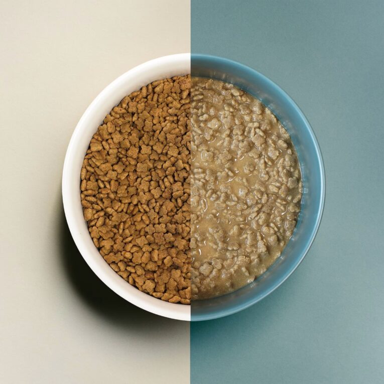 נאו/NOW גוד גרייבי GOOD GRAVY גזע קטן עוף 5.4 קג